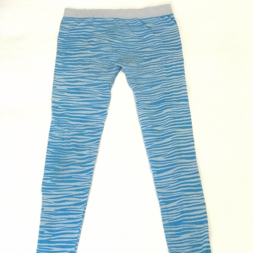 Blue Zebra Leggings